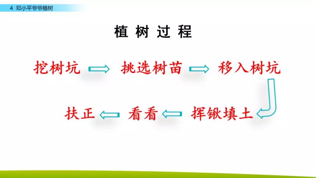 部编版二年级下册语文第4课《*小平邓**爷爷植树》知识点+图文讲解
