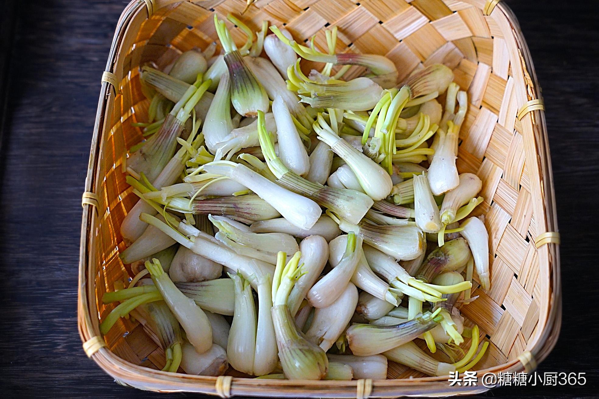 这个季节可食用的野菜,春天的野菜只有它最受宠