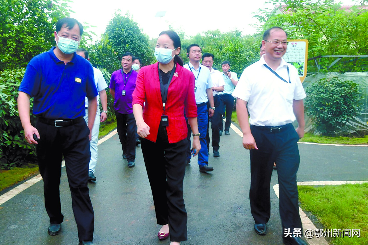 乡镇发展生态产业的思路,东沟有没有发展