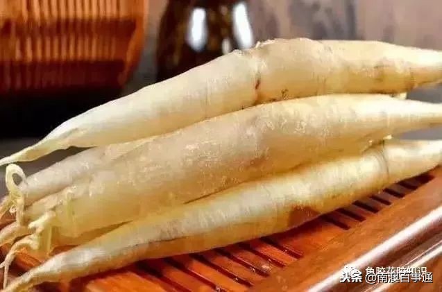 涨知识！鱼胶种类大全，不看亏大了！