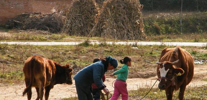 女人断掌守空房的俗语,男人断掌女人断掌民间说法