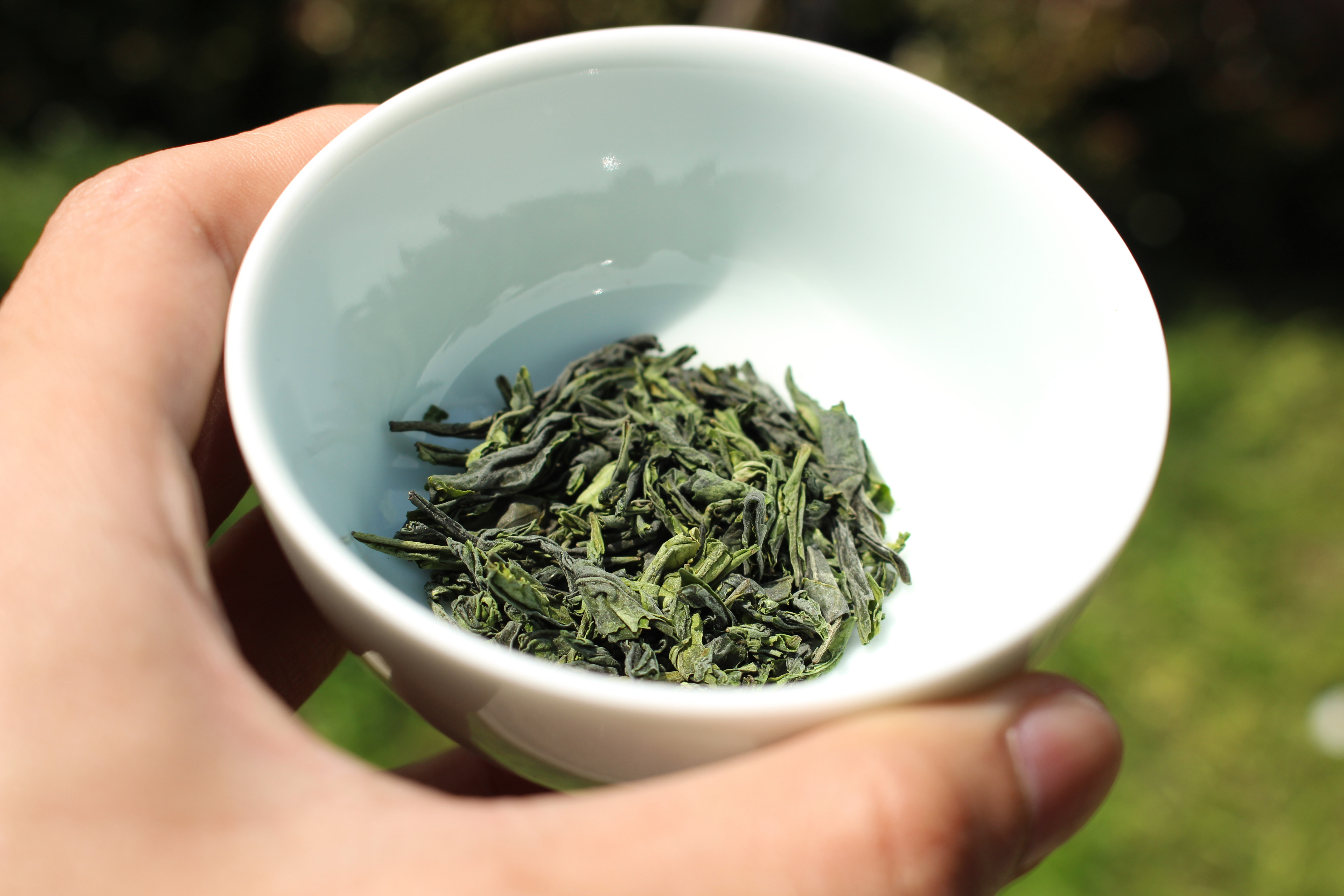 碧螺春雀舌黄山毛峰哪个绿茶好,龙井毛峰碧螺春都是绿茶吗