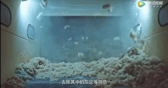 分不清垃圾的上海人哭了,用垃圾卖爆款的时尚圈笑了