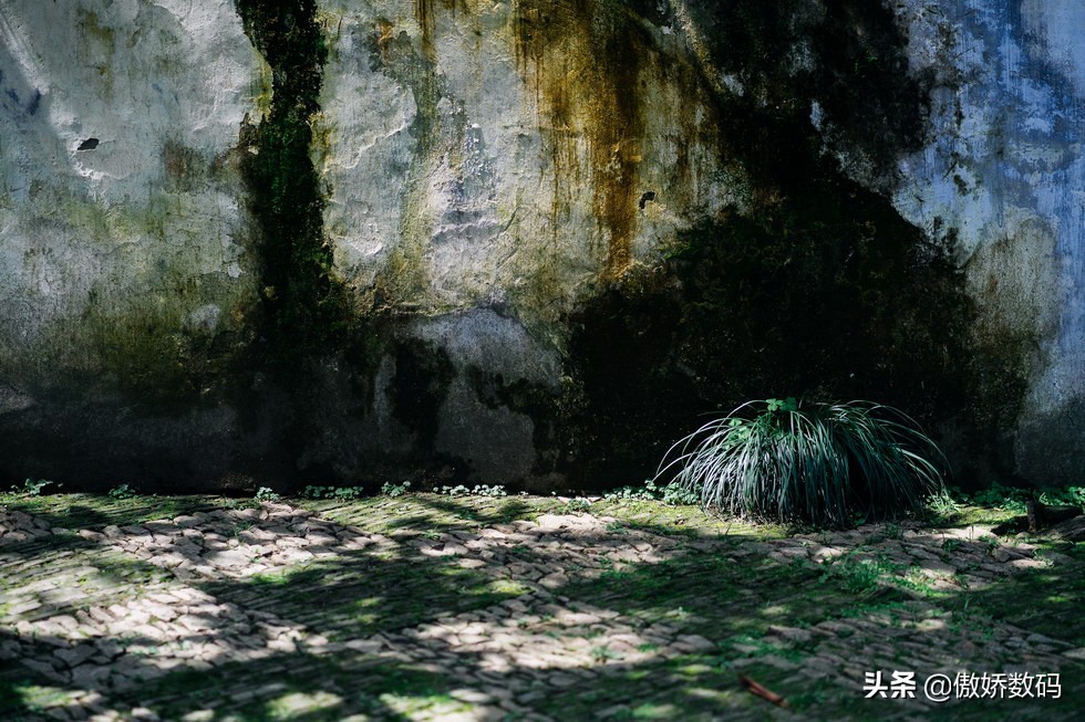 拙政园最让人欣赏的地方,拙政园十大特色
