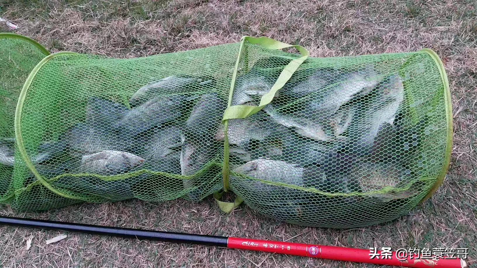 你用过哪些鱼竿,你都用过哪些产品