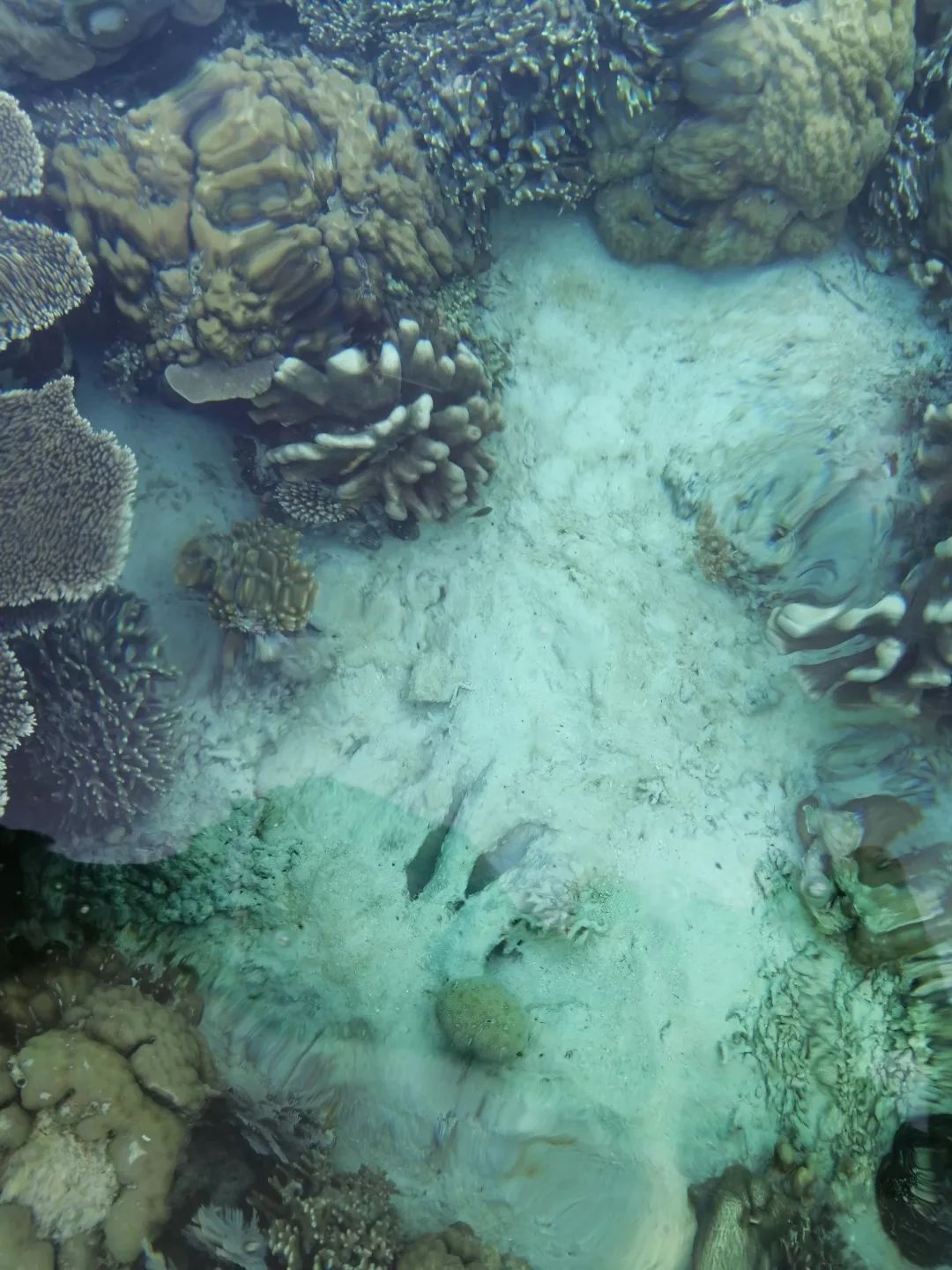 美娜多6天4晚旅游攻略,旅游体验师100个名额