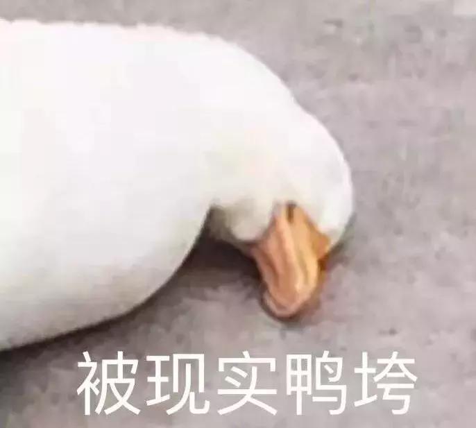 妇科专家：产后正确避孕的5种方法，看看你适合哪种？