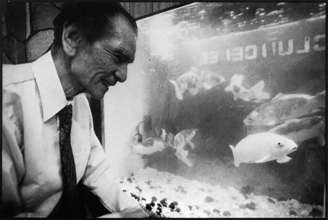 香港四大鬼才都是谁,香港最厉害的鬼才是谁