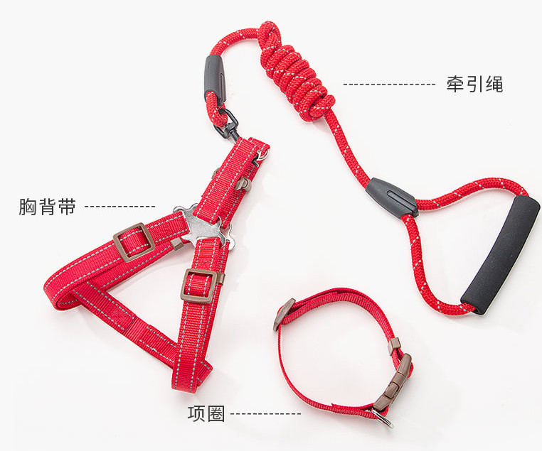 想养狗狗治愈自己这种心态要养吗,想养一只狗狗怎么准备