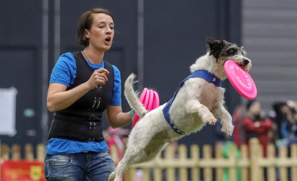 为什么狗会亲近女生,为什么狗也会交朋友