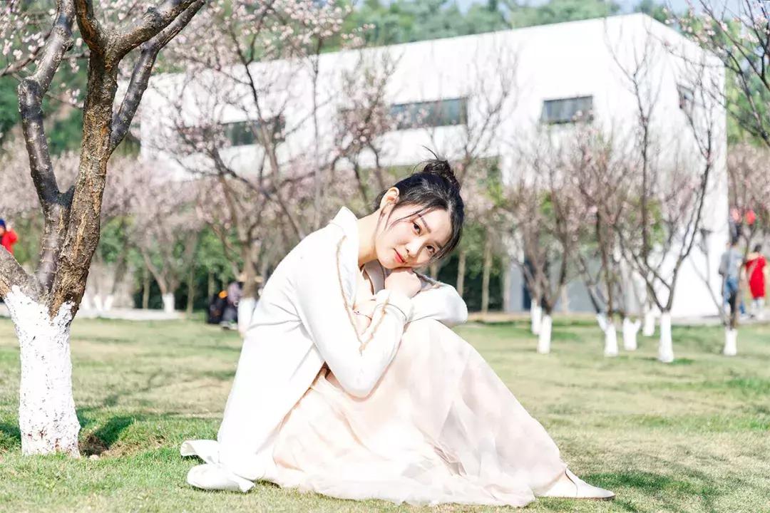 深圳隐秘风景,深圳粉色花海视频