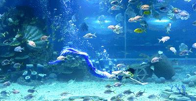 100个梦幻乐园,超2000平的梦幻王国游乐场