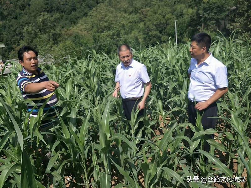 封藏原浆,泸康封藏原浆两瓶