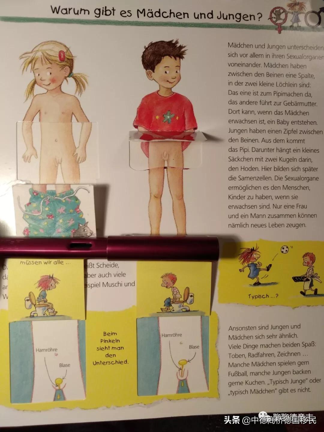 德国性教育绘本,德国儿童性教育