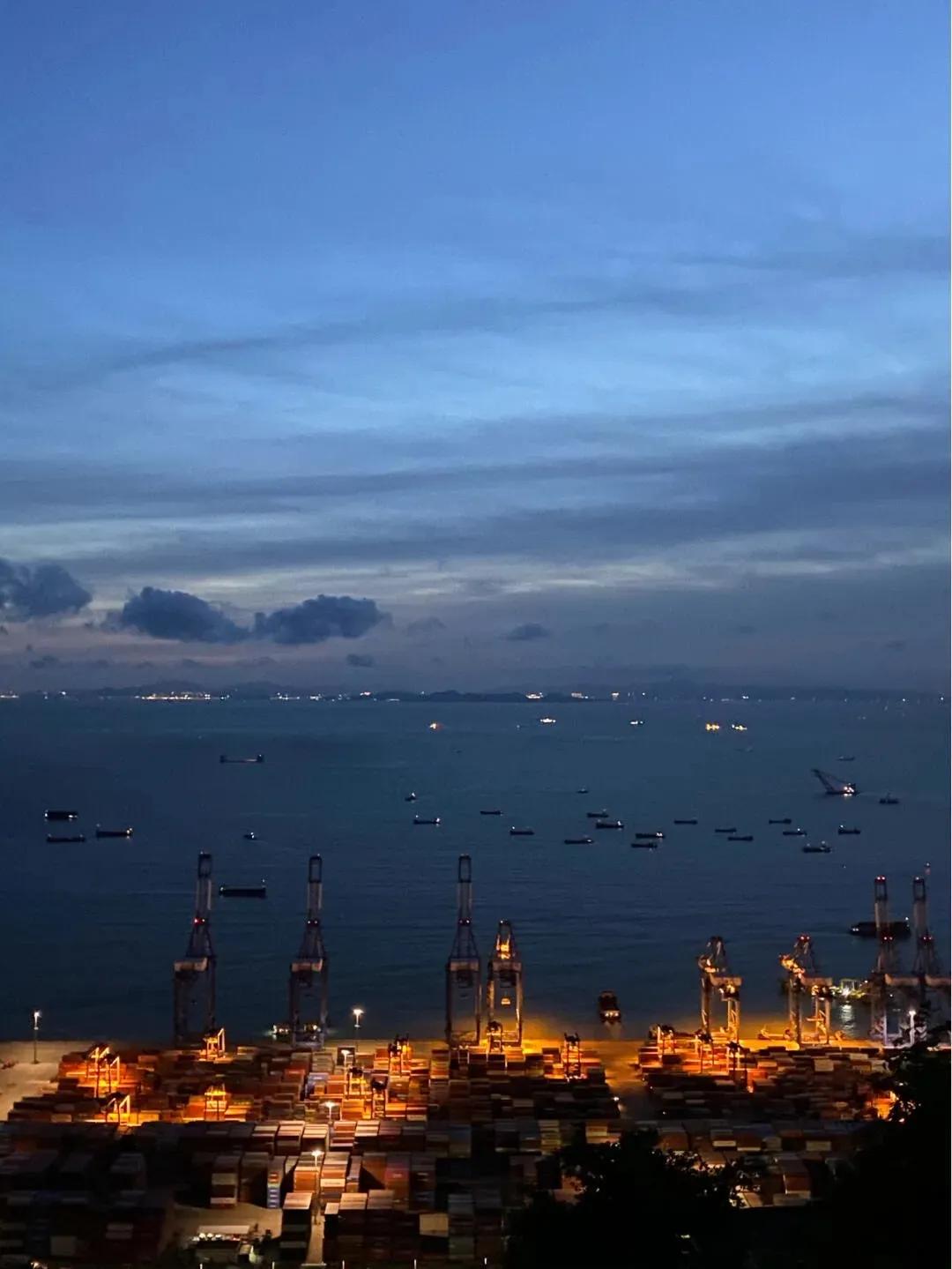 深圳樱花专列,深圳蛇口樱花列车