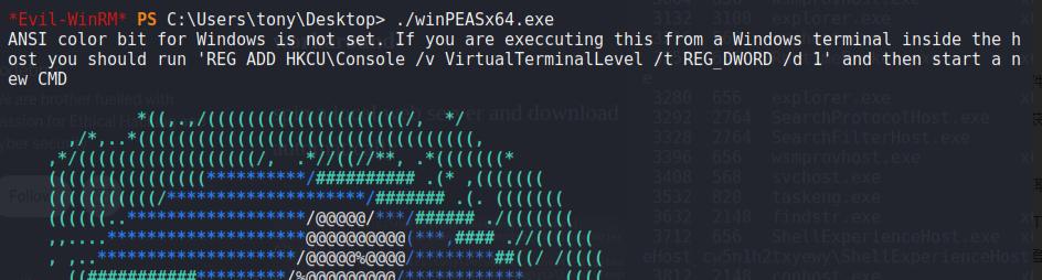 网络安全渗透软件是什么,网络安全渗透是做什么的