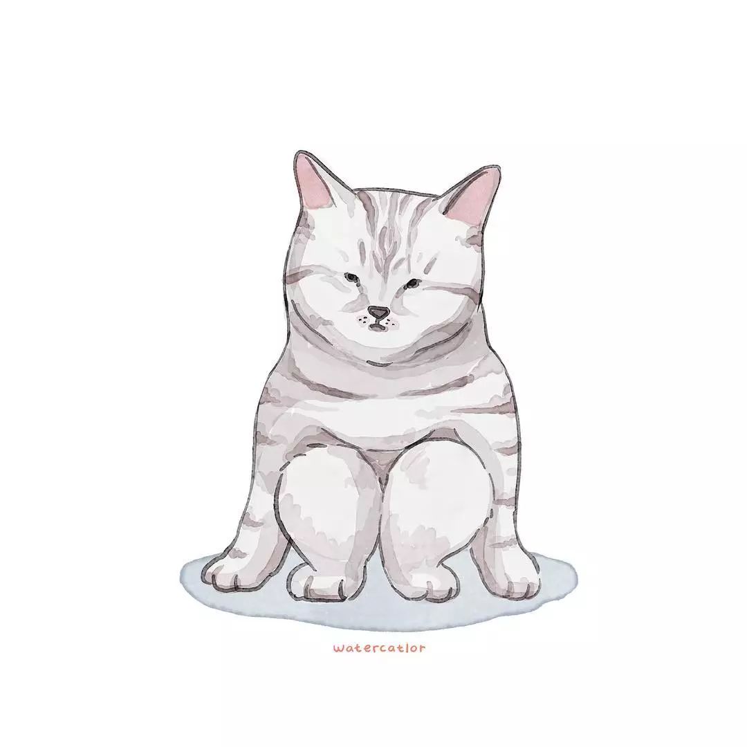 猫是液体的证据找到了吗,猫难道真的是液体吗