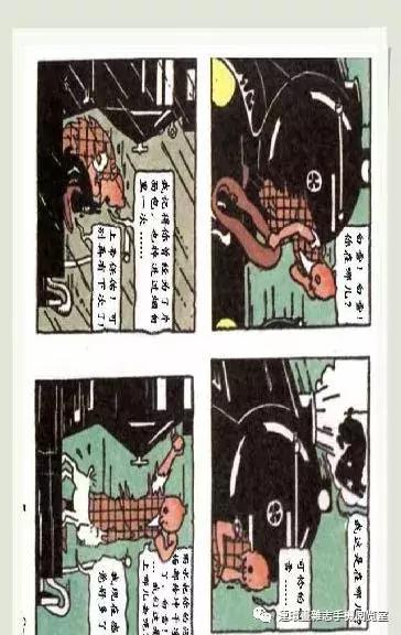 丁丁和丁丁历险记论文,丁丁历险记丁丁的服装