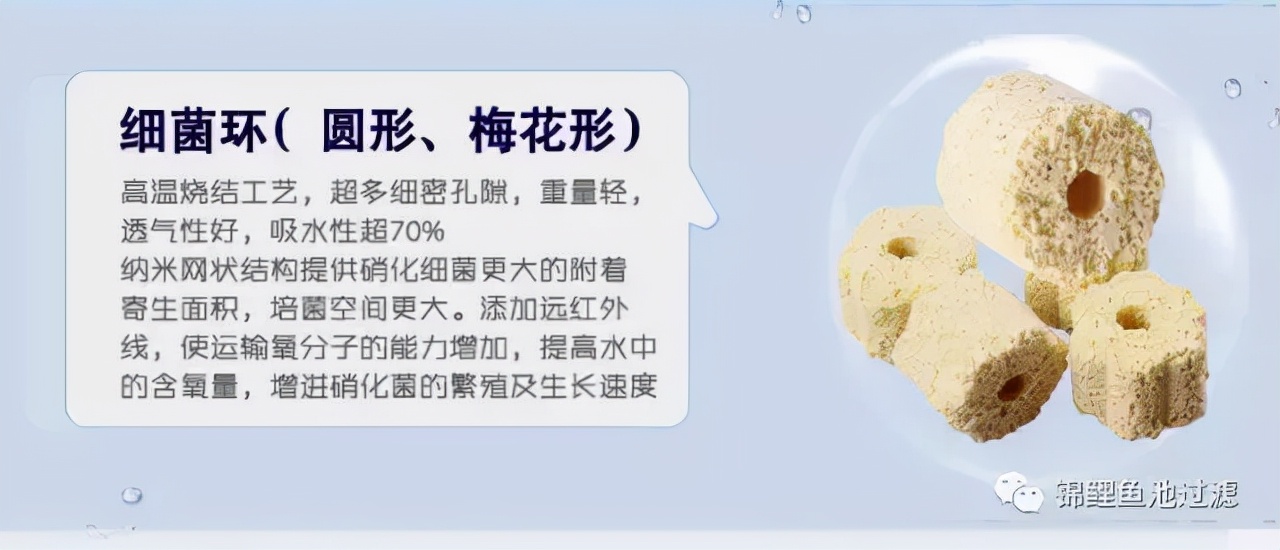 养锦鲤用过滤桶过滤系统,锦鲤鱼池沼泽过滤与生物过滤