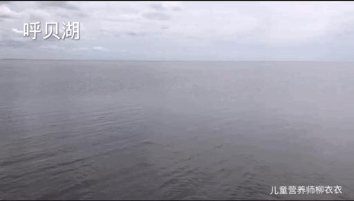 暑假内蒙古旅游攻略亲子,暑假亲子游玩内蒙古5天4夜