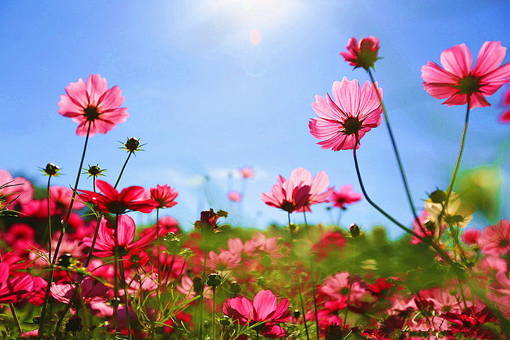 哲人哲思哲文:美女战友高丽华的《90%准则,缺陷与完美的平衡》