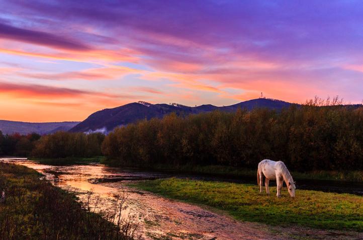 苏轼这十首词写尽人生感慨,苏轼最治愈的十首词