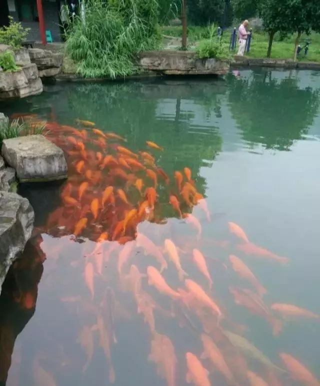 贵州最美农家乐,贵州这些藏在山间的诗意民宿