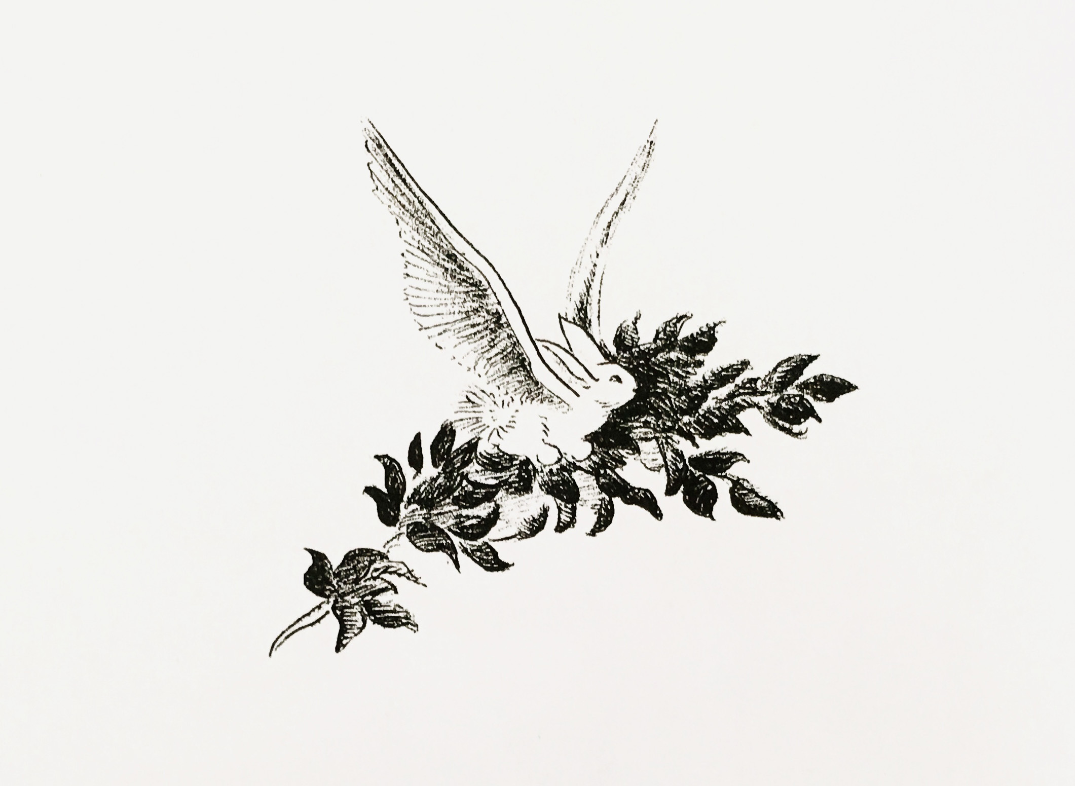 17张一只铅笔就搞定的黑白插画，画风简单，100年来却让人着迷