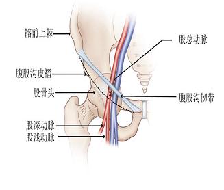 无保护单臂大回环,无保护左主干