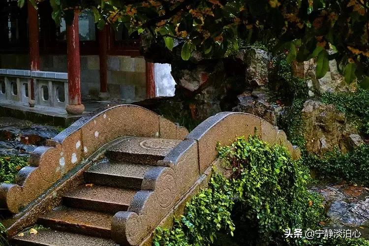 桂花是秋天的灵魂,桂花香是秋天的微醺感