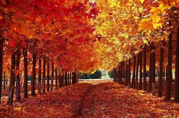 上海厉害了,厉害了上海