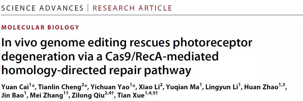 仇子龙自闭症基因疗法,仇子龙研究治疗自闭症有进展吗