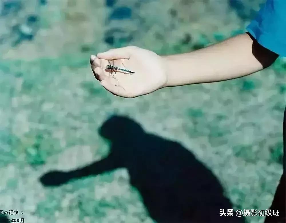 推荐几个日系摄影师,推荐个日系摄影师名字