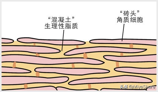 美容家用注氧仪真的有用吗,给皮肤注氧靠谱吗