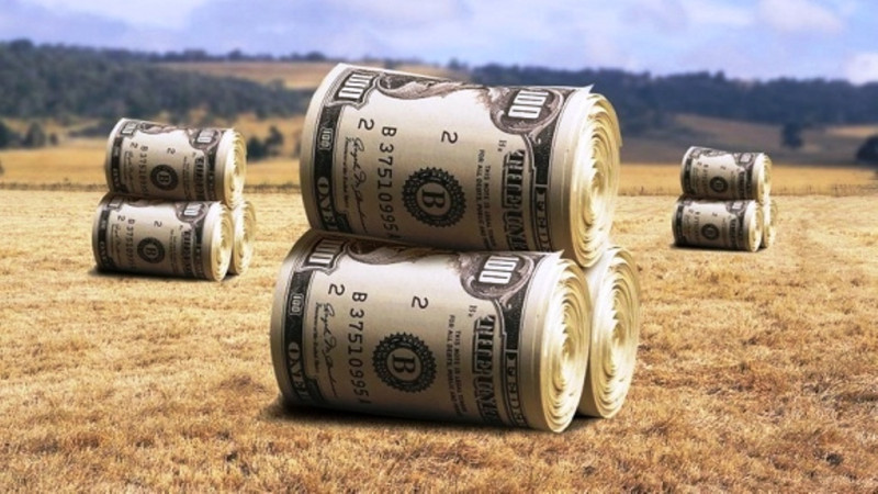 美国肉类过剩,美国猪肉堆积如山原因