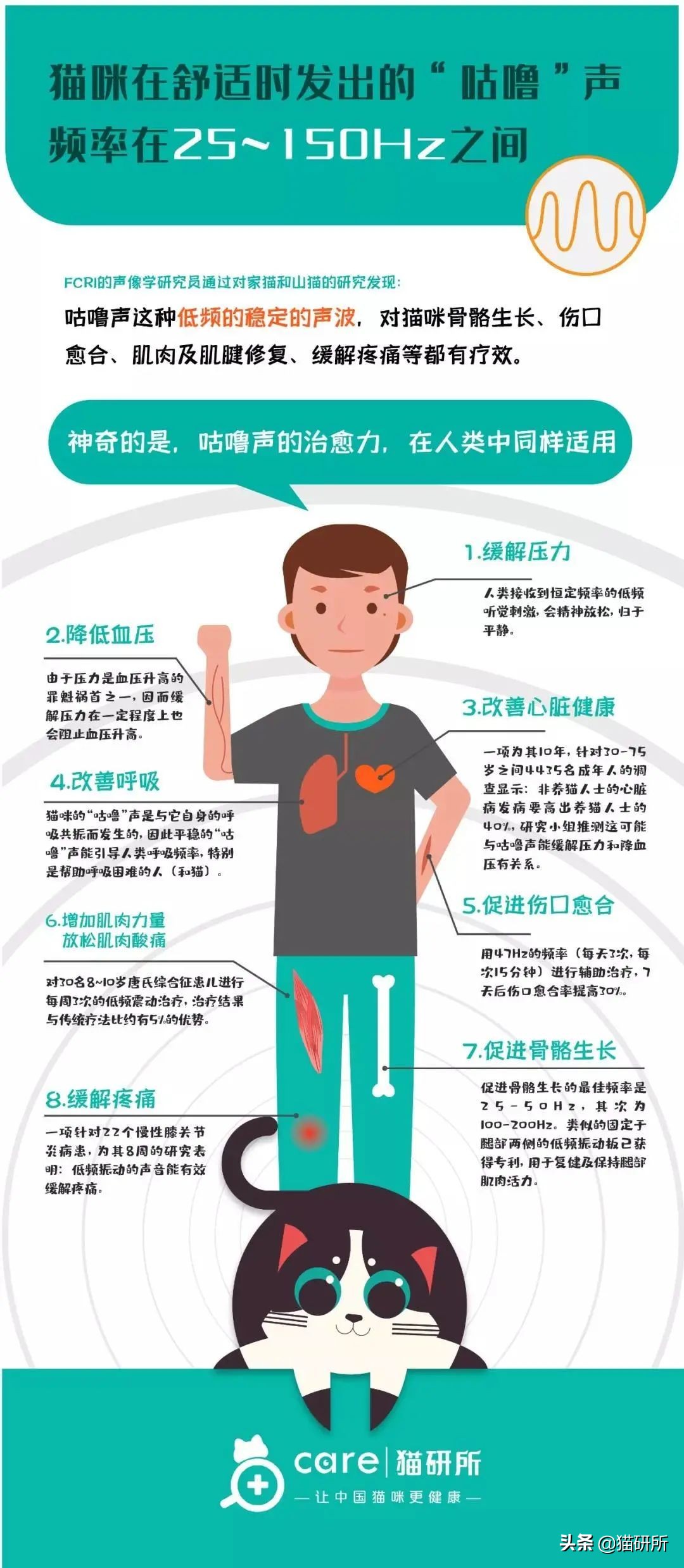 玄学靠谱还是科学靠谱,女人养猫与玄学有关吗