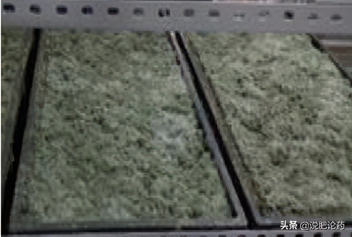 西瓜使用复合微生物肥,西瓜微生物菌剂肥料怎么用