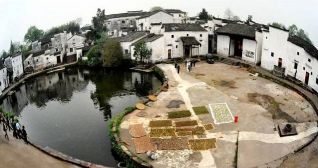 乾道成,乾知大始坤作成物啥意思