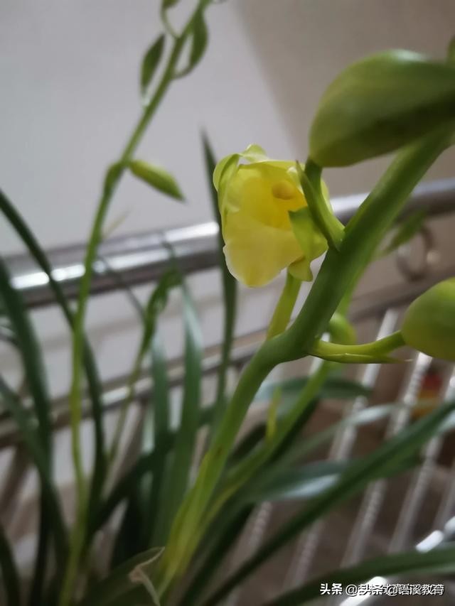 可以看到朋友定位的地图app,情侣能看到定位的app