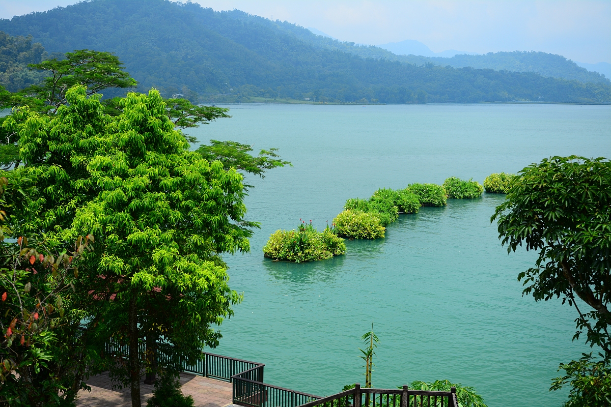 投资市场上的稀有物种：坚守期货24年的欣叔