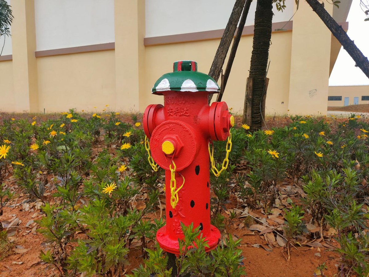 校园环境展示,校园读书墙壁文化布置