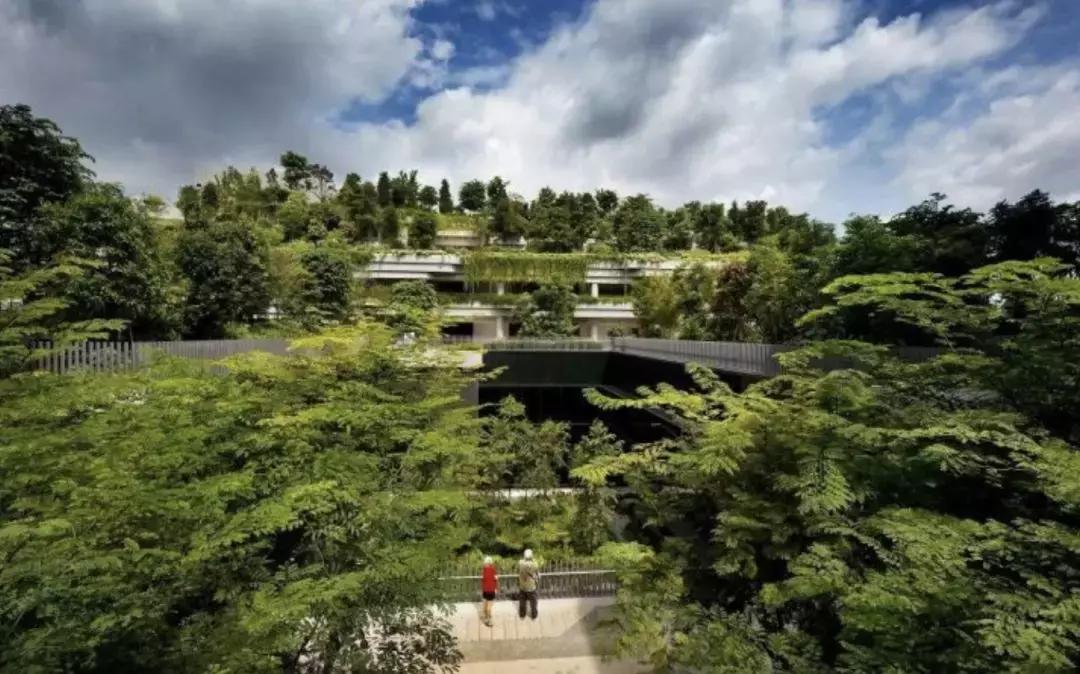 新加坡人口密度大却不拥挤,新加坡和香港哪个人口密度大