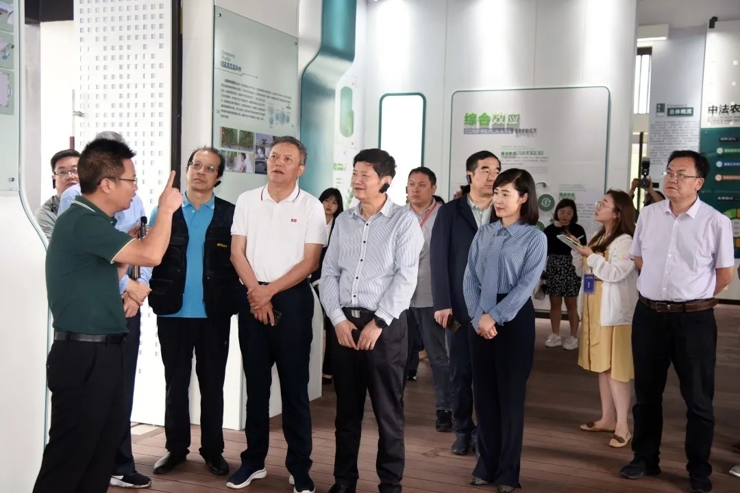 社长总编主编,社长总编