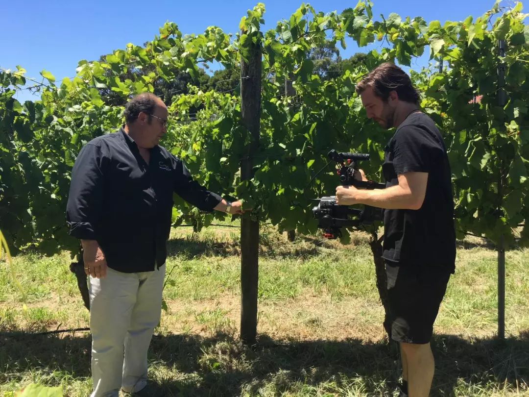 澳洲进口红酒700多,原装进口澳洲葡萄酒