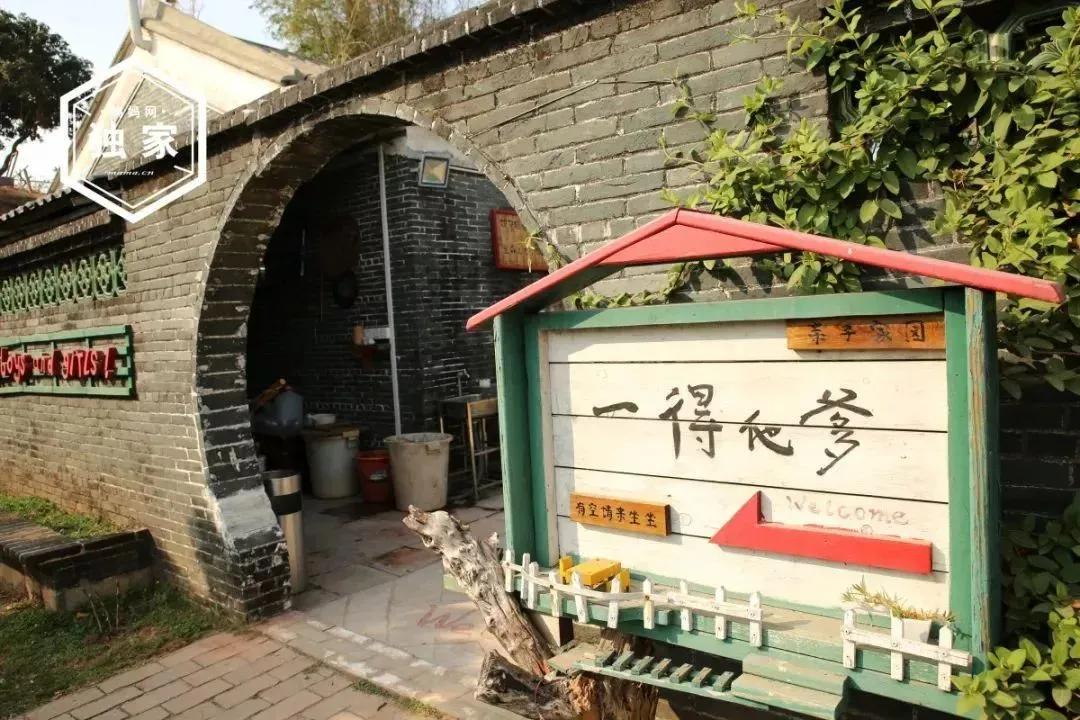 那个知名育儿博主的儿子，在美国自杀了