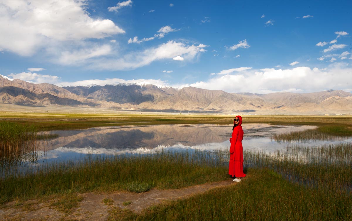 我的旅行日记之青海,我的旅行日记高原茶场