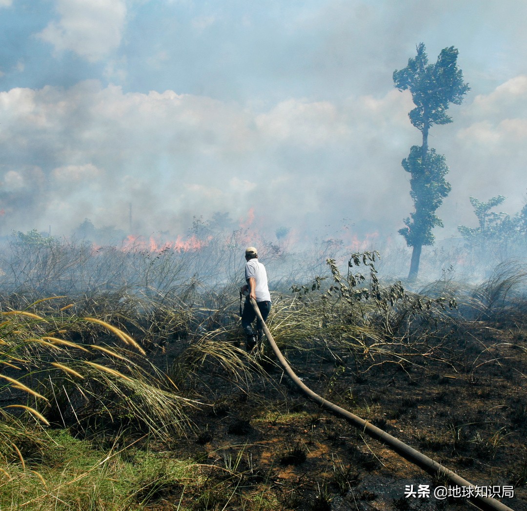 印尼在亚洲的实力排名,印尼有几亿人
