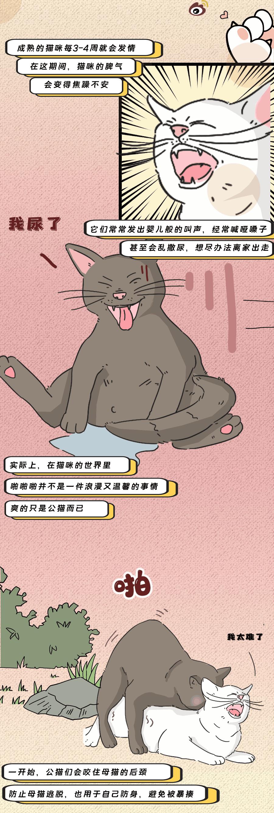 论啪啪啪，人类可比不上它们……