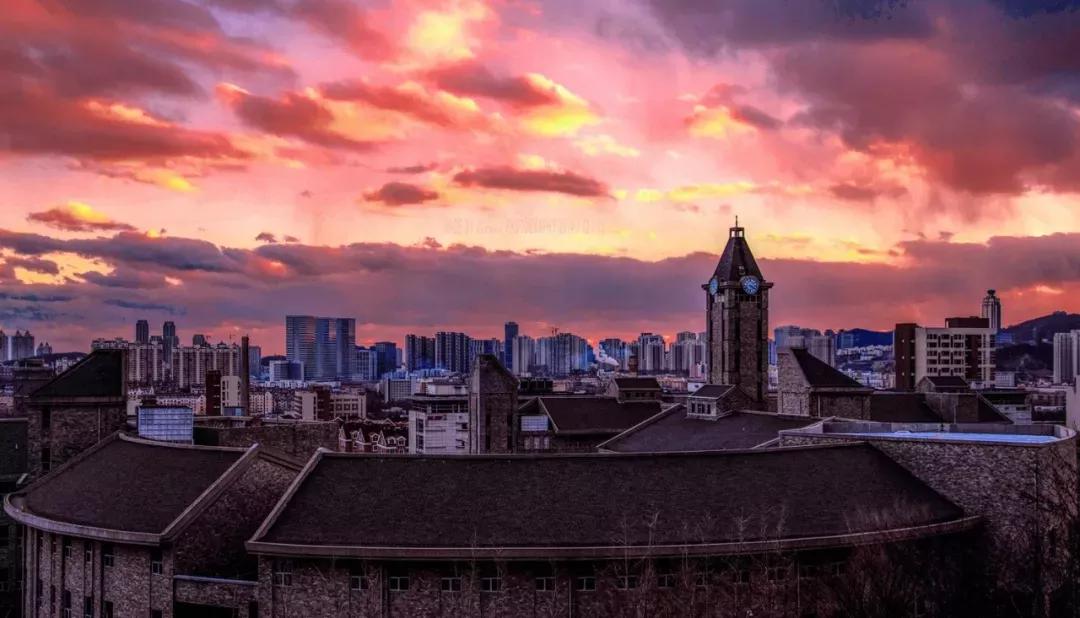 辽宁省民办大学（二）大连东软信息学院