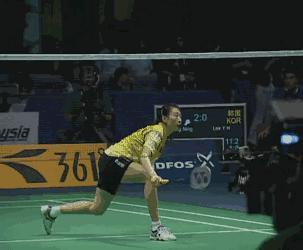 羽毛球基础知识入门,一起学习羽毛球入门超强干货教程